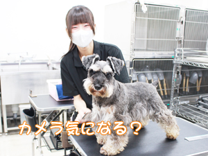 ☆１年生のトリミング☆